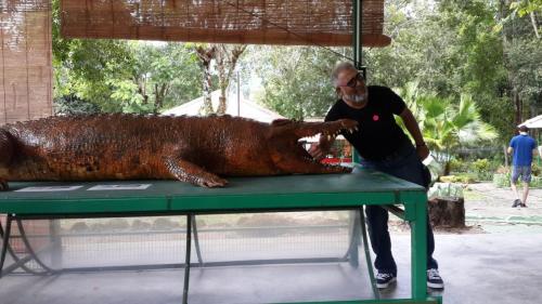 Trip to Malaysia July 2016 (17)