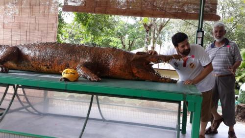 Trip to Malaysia July 2016 (18)