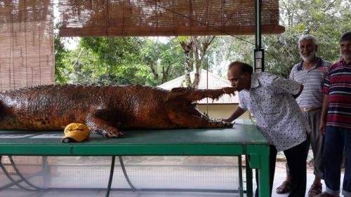 Trip to Malaysia July 2016 (19)